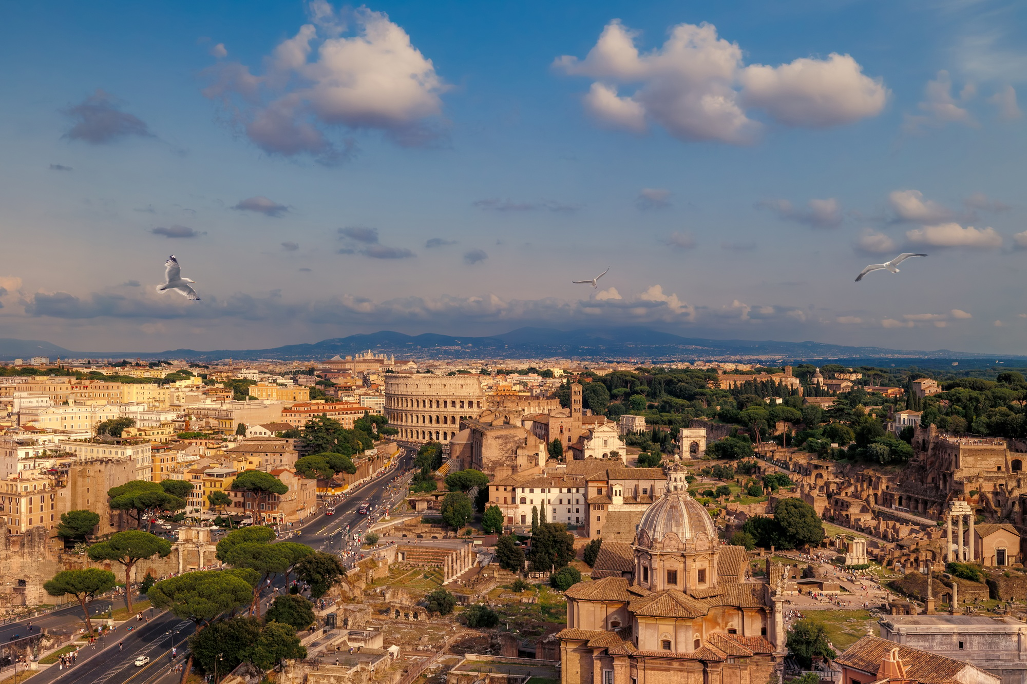 Archaeological park of the Colosseum Roman Forum and Palatine Hill