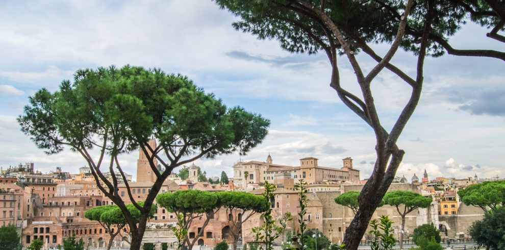 Cityscape with pines, Rome, Italy